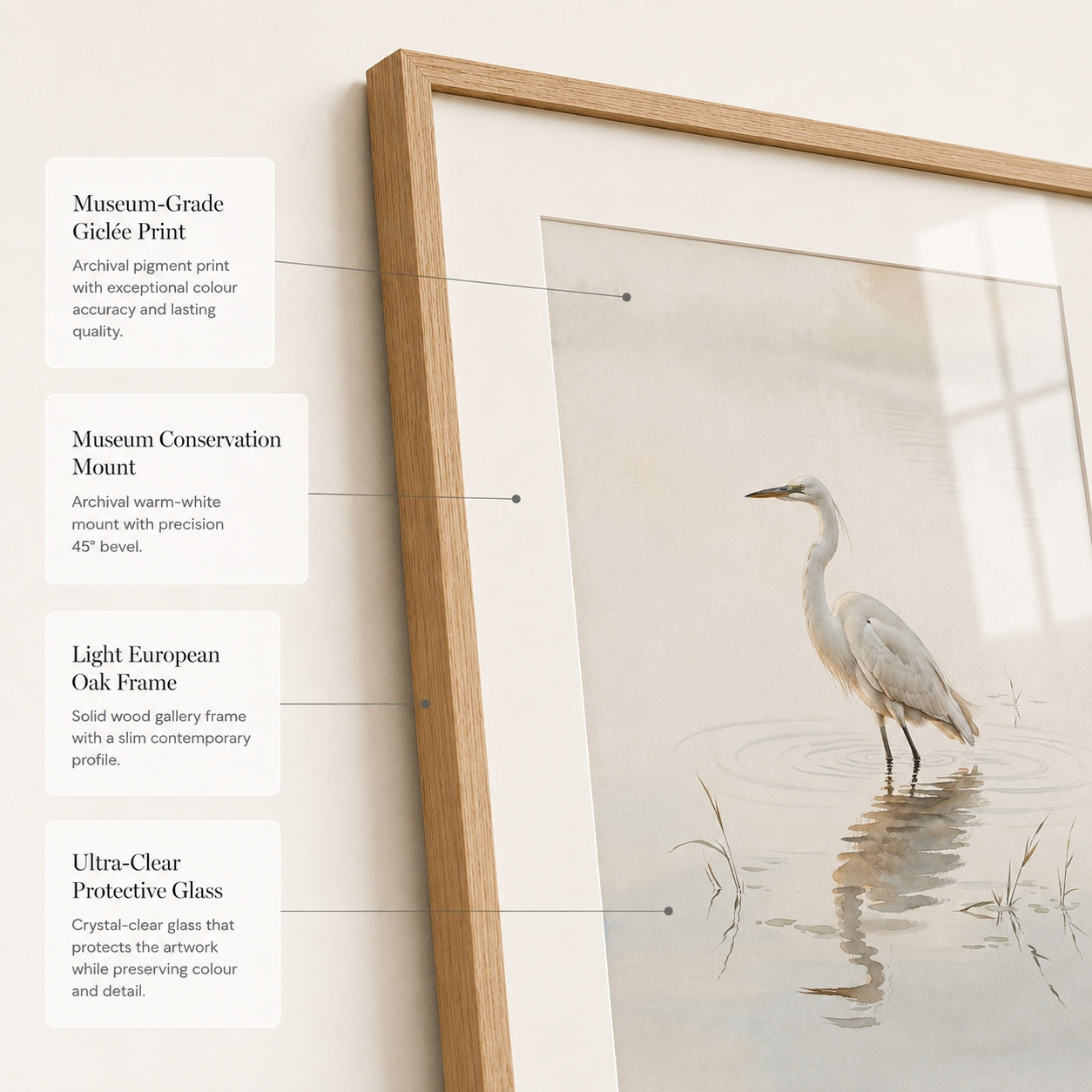 Standing Reflection Heron