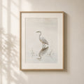 Standing Reflection Heron